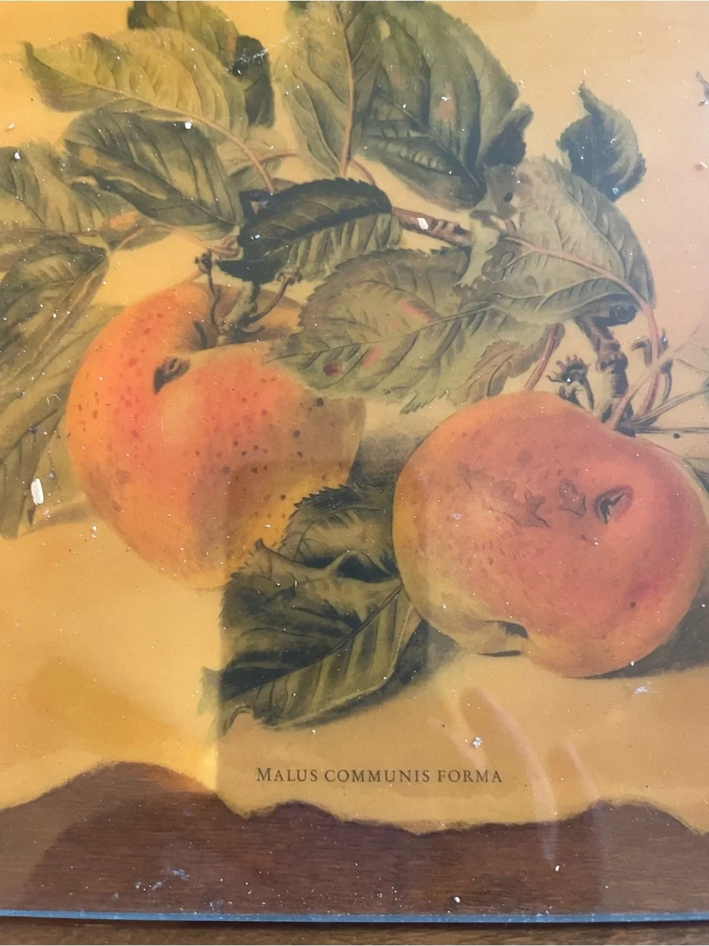 Wooden Serving Tray with Peach Artwork - Brown handcrafted